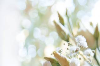 Julie Cousse - Photographe - 8
