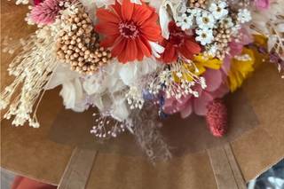 Plume de Nuage - 9