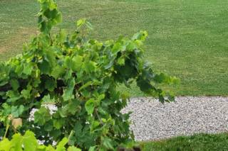 Domaine des 3 Villages - 14