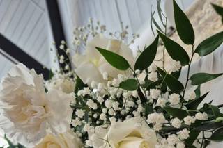 Pivoine - 10