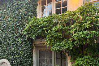 La Dîme de Giverny - 14