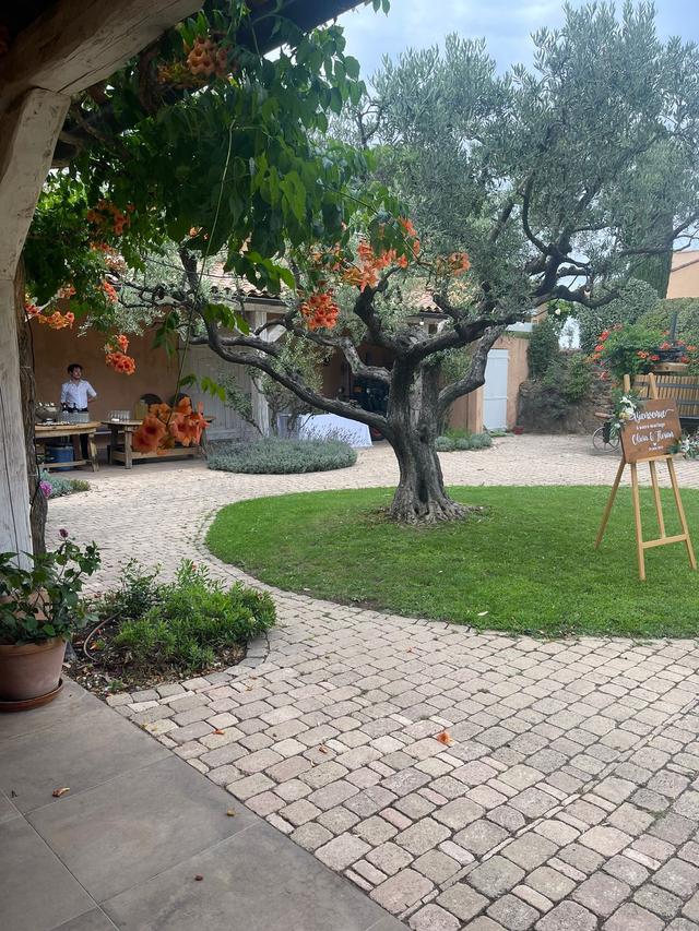 Domaine des Planes - 2