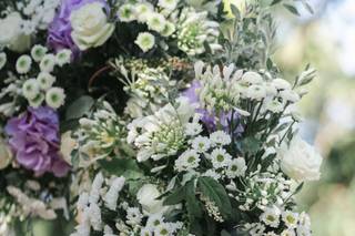 Maryflowers - 9