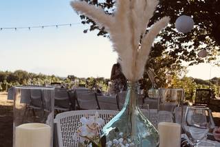 Domaine de Saint Amand - 28