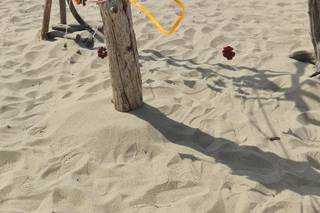 SandyEvents - 10