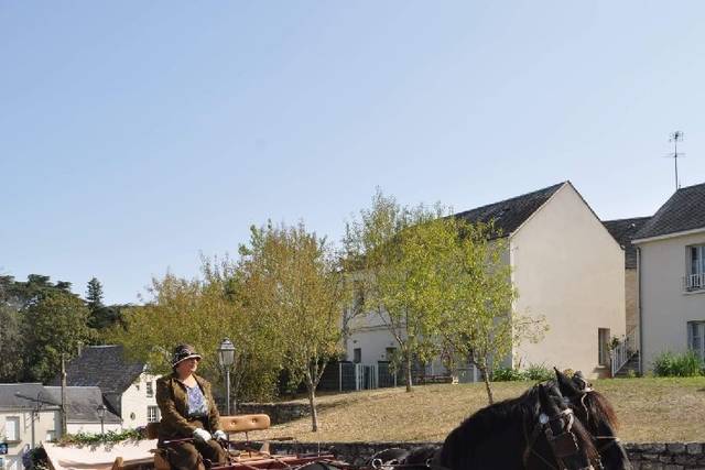Haras de Muralis 5
