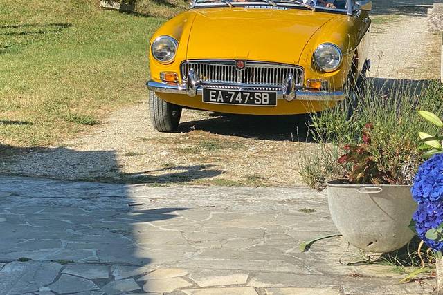 Classic Cars in Gers 4