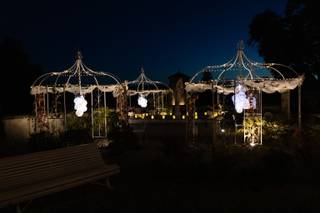 Angiephoto - 10