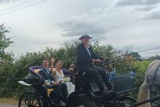 Les Attelages De L'Erdre - 1