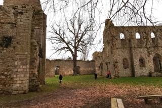 Château du Vivier - 6