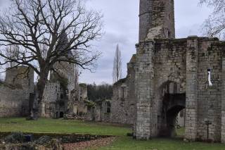 Château du Vivier - 7