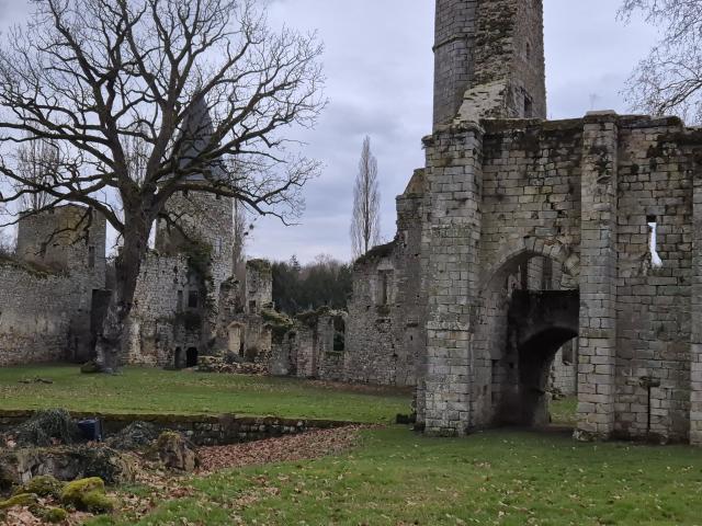 Château du Vivier - 4