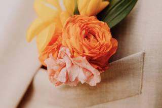 Bois Fleuri - 6