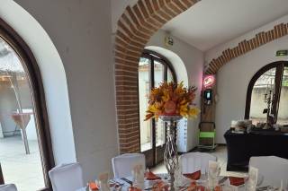 Domaine des Aspres - Mas Del Gall - 5