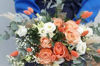 Coton et Coquelicot - 17