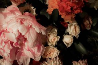 Rose et marguerite - 5