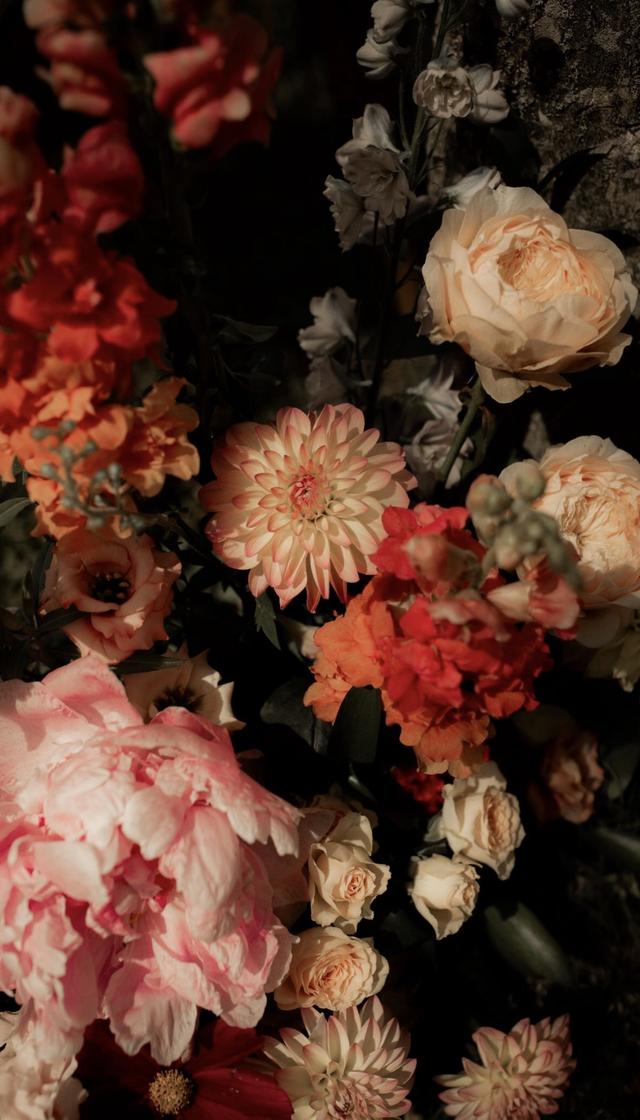 Rose et marguerite - 1