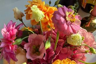 Poppy d'amour - 6