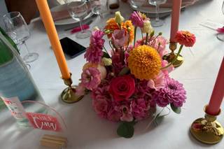 Poppy d'amour - 7