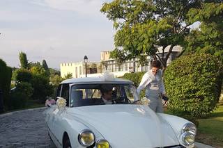 Classic Escapade - 8