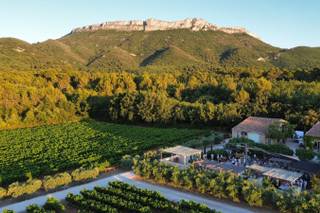 Domaine Saint Hubert - 11