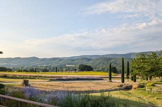 Domaine de La Barbeirasse - 19
