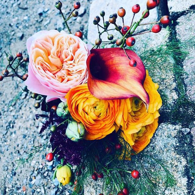A fleur de pot - 1