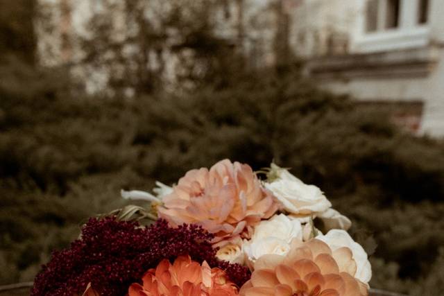 Muriel Pic Photographie 5
