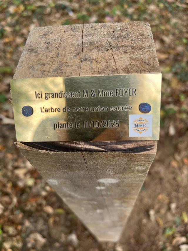 Manoir du Menec - 4
