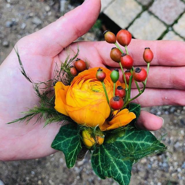 A fleur de pot - 4