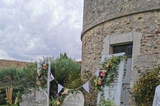 Le Potiron Fleuri - Fleurs de saison - 9