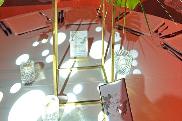 Estel & co 5