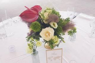 Emmy Studio - 9