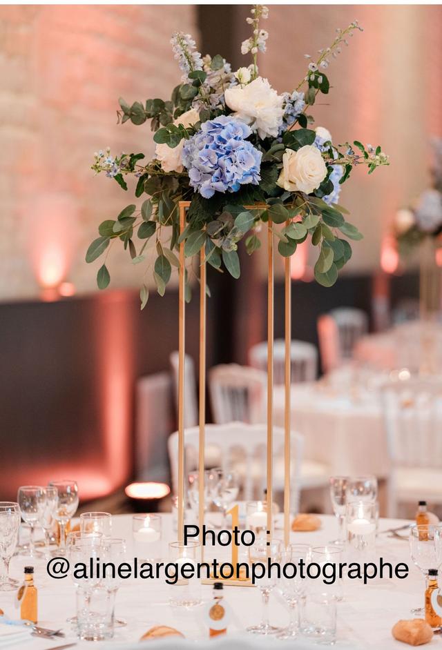 Pivoine - 2