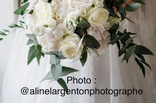 Pivoine - 6