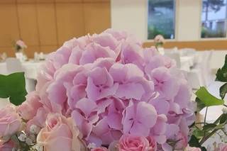 Aloé Fleurs - 9