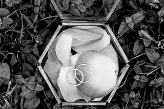 Objectif Naturel - 11