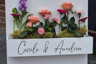 C-line Events - 5