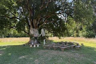Le cabinet des renards - 6