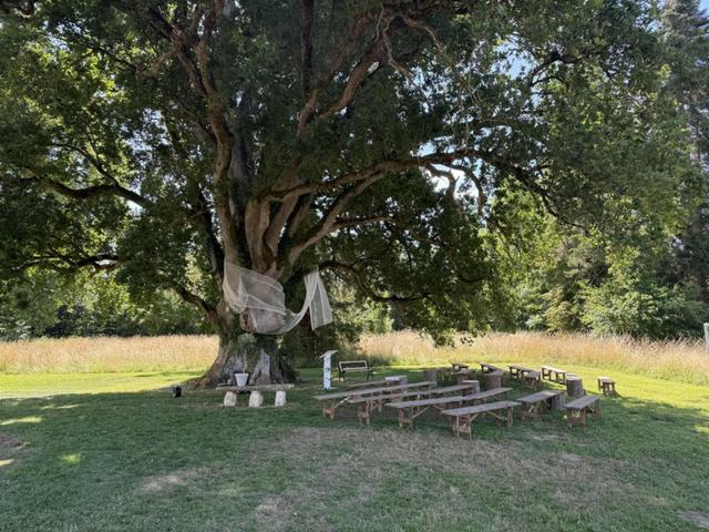 Le cabinet des renards - 1