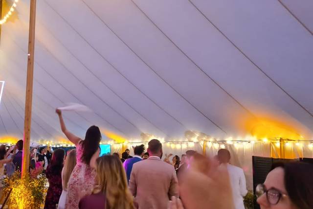 DressandDance Wedding 3