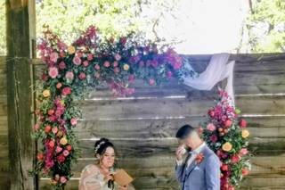 Daylight Flower - 14