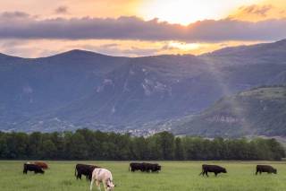 La ferme des Gabelins - 7