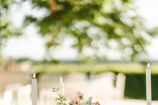 Fleurs d'Eucharis - 5
