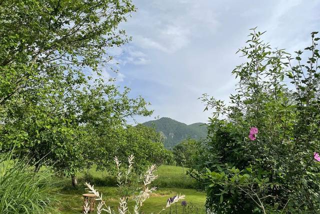 Les Jardins du Cot 5