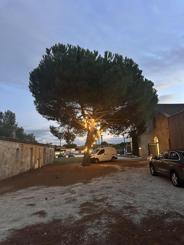 LG Location - Guirlandes - 2