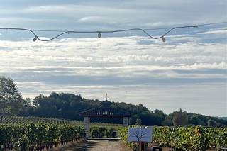 Domaine Carcenac - 6