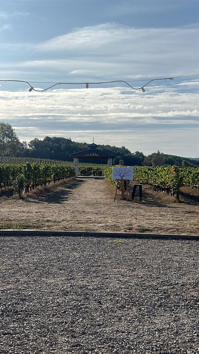 Domaine Carcenac - 2