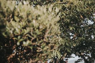 Claire Bjedic Photographe - 11