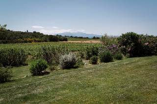 Clos des Aspres - 10